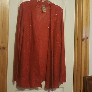 Sparkly red sweater